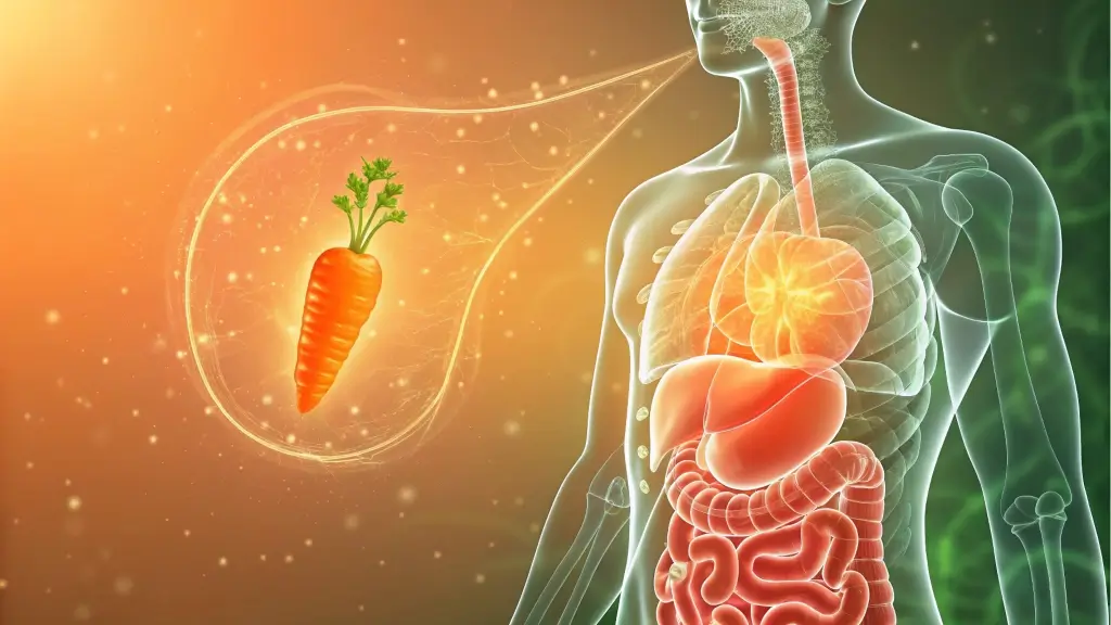 A conceptual illustration of the digestive system highlighted with a glowing carrot icon and arrows showing improved digestion. The background is abstract with soft tones of orange and green.